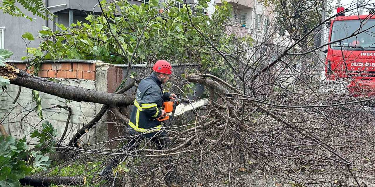 Düzce’de Fırtına İle Mücadele Devam Ediyor