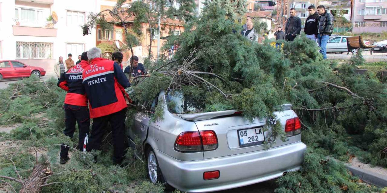 Fırtınada Üstüne Ağaç Devrilen Otomobildeki 3 Genci Baltayla Kurtardı