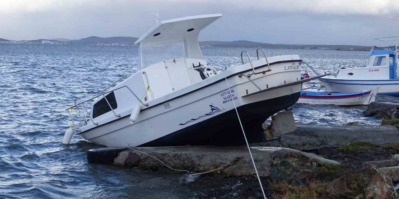 Altınova’da Fırtına Hayatı Olumsuz Etkiledi