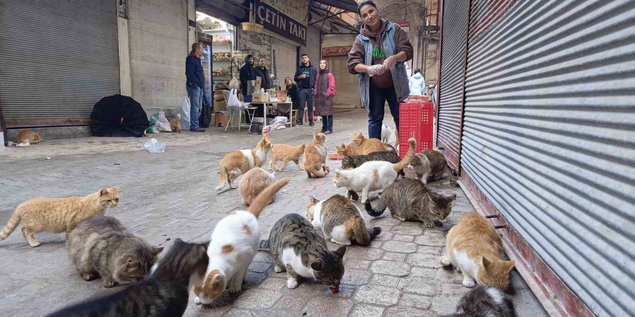 Enkaz Kentin Sokak Hayvanları Onu Sesinden Tanıyor