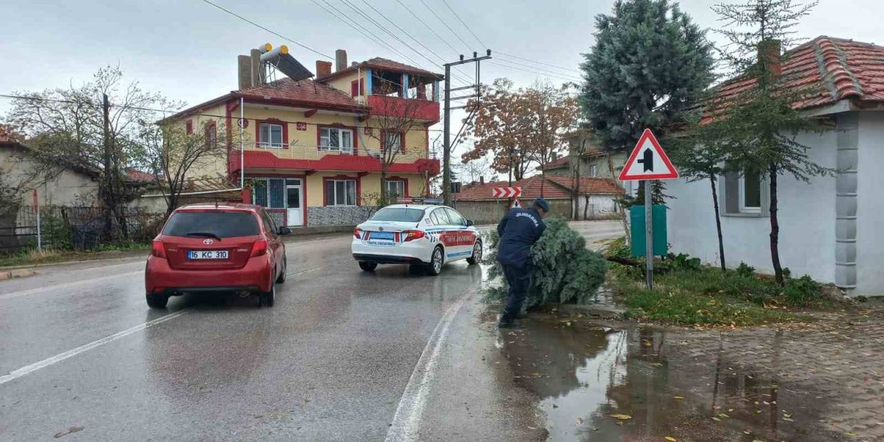Yola Devrilen Ağacı Jandarma Ekipleri Kaldırdı