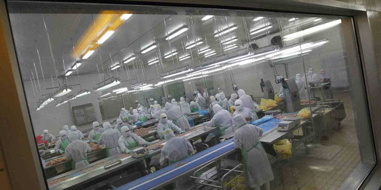 Japonya’da Kuş Gribi Nedeniyle 72 Bin Kümes Hayvanı İtlaf Edilecek