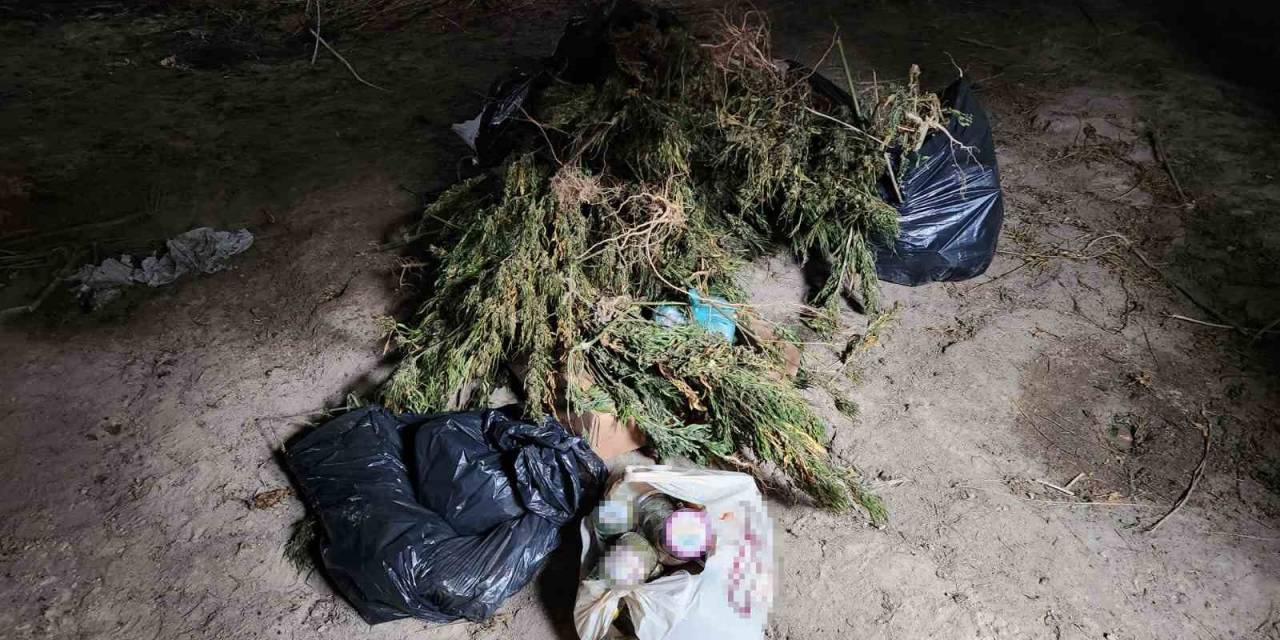 Ahşap Baraka İçerisinde Ve Çevresinde 22 Kilo Esrar İle 425 Kök Kenevir Ele Geçirildi