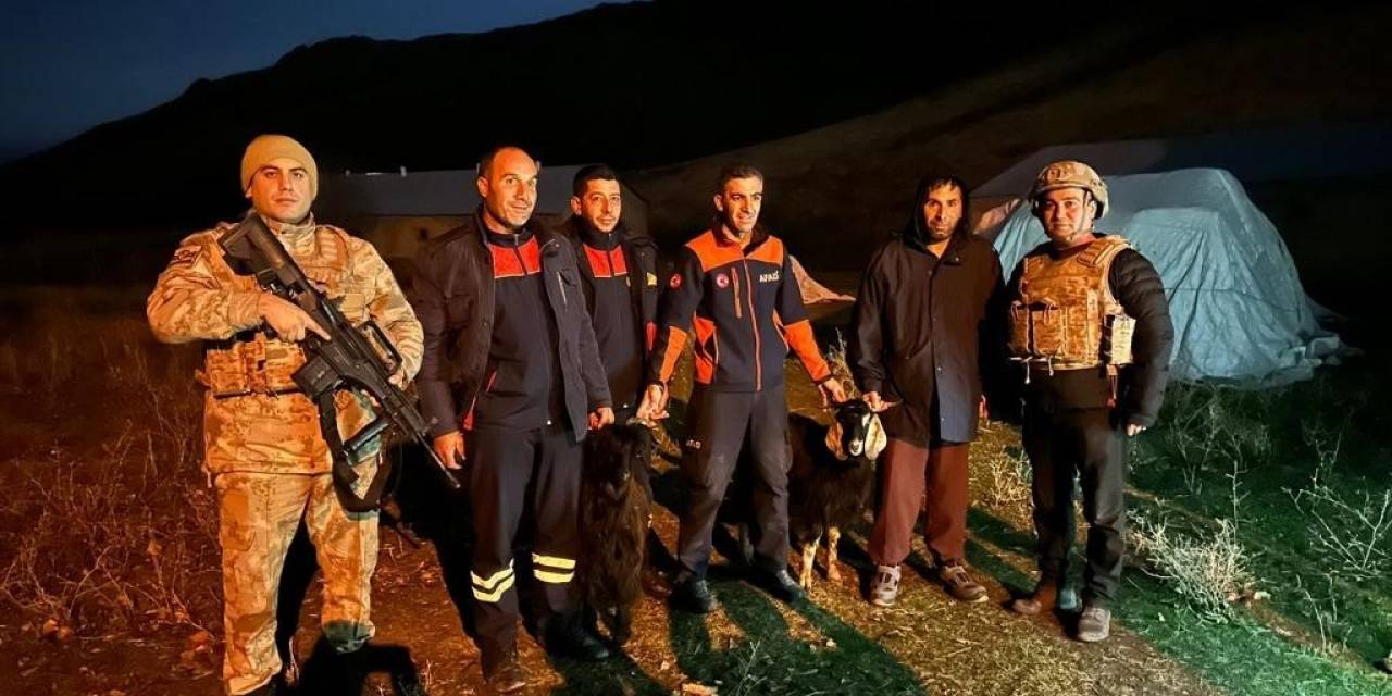 Kayalıklarda Mahsur Kalan Hayvanlar Kurtarıldı