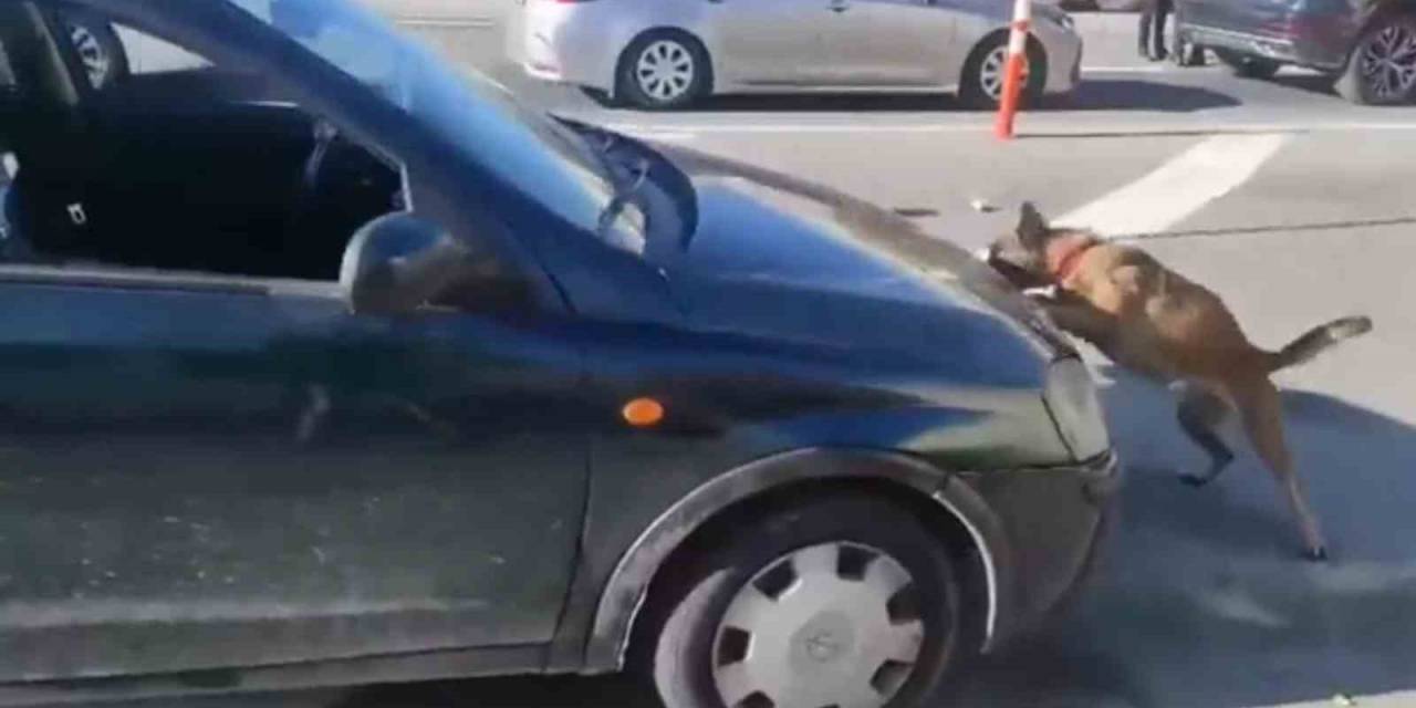 Uyuşturucuyu Aracın Motor Kaputuna Zulalamışlar