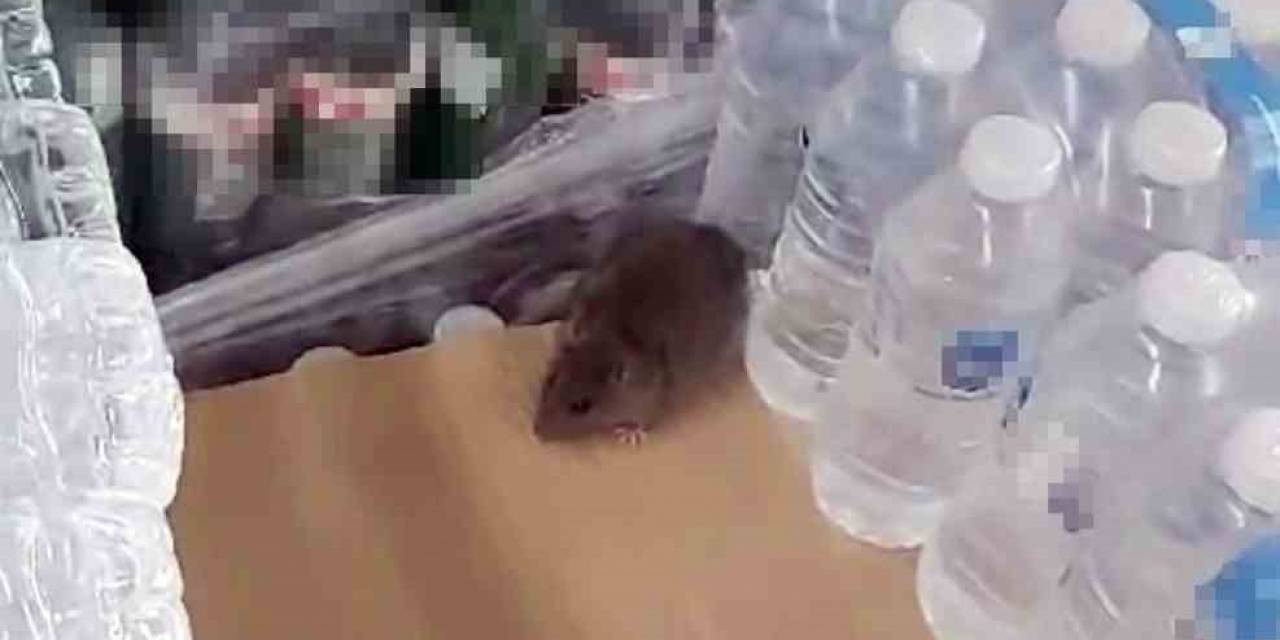 Bim’de Mide Bulandıran Görüntü