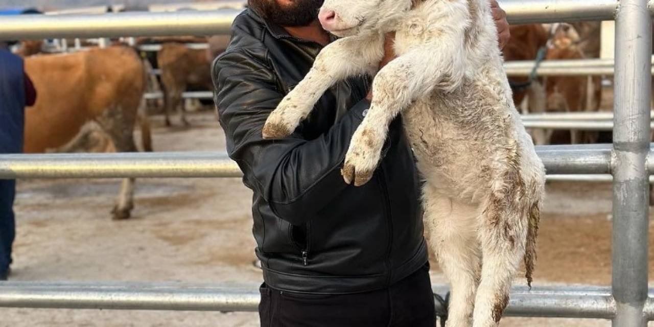 Hobi Olarak Başladı, Türkiye’nin Dört Bir Yanına Hayvan Satıyor