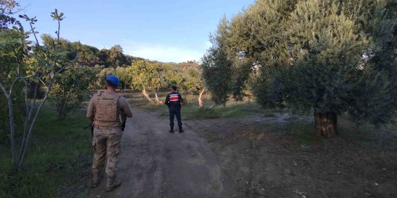 Jandarma Tarımsal Ürün Hırsızlığına Geçit Vermiyor