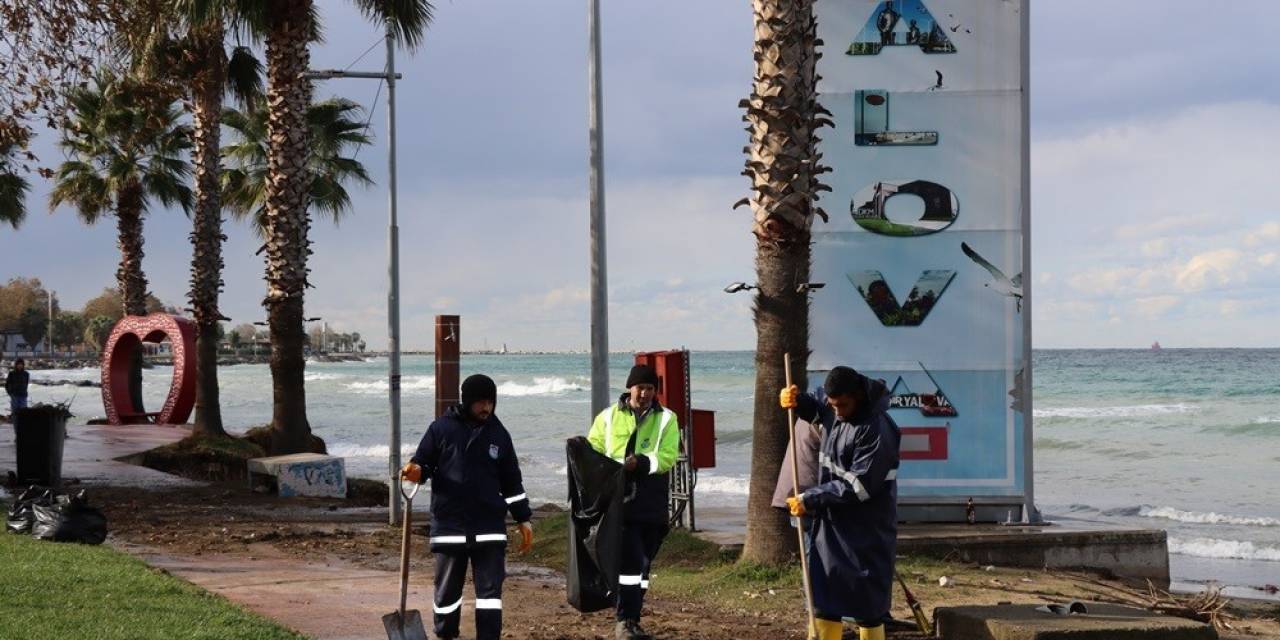 Yalova Belediyesinden Fırtına Temizliği