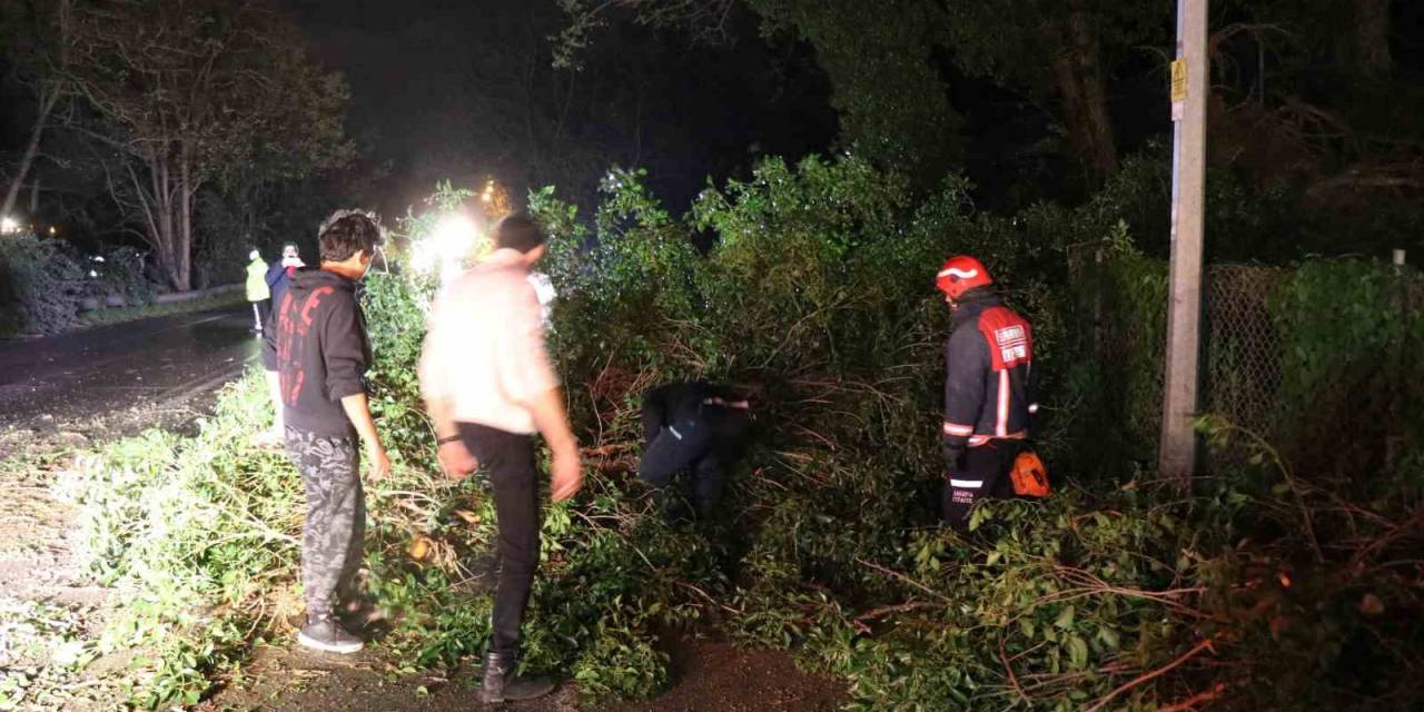 Fırtına, Sakarya’nın Turistik İlçesini Yıktı Geçti