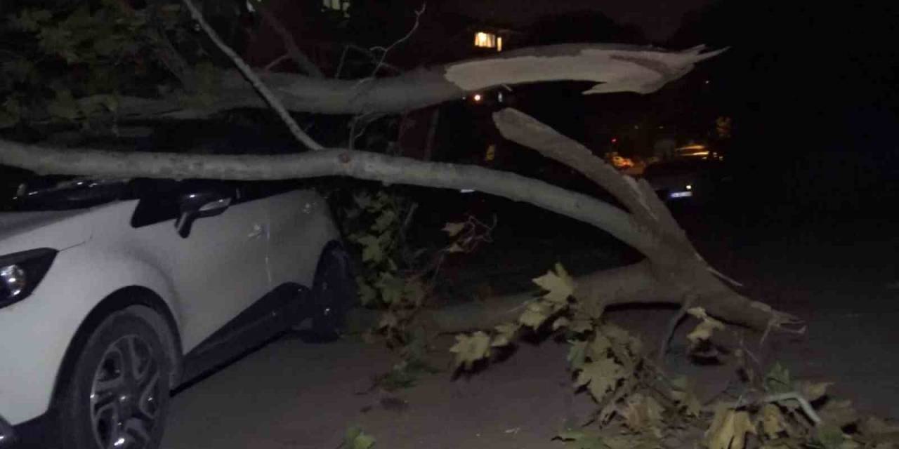 Ağaç Ve Elektrik Direği Araçların Üzerine Devrildi, 2 Araç Hasar Aldı