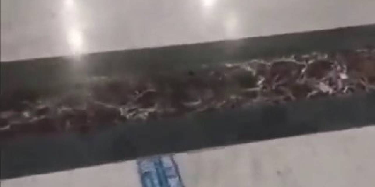 Kocaeli Üniversitesi Eğitim Ve Araştırma Hastanesi Koridorlarında Köpek Dışkısı
