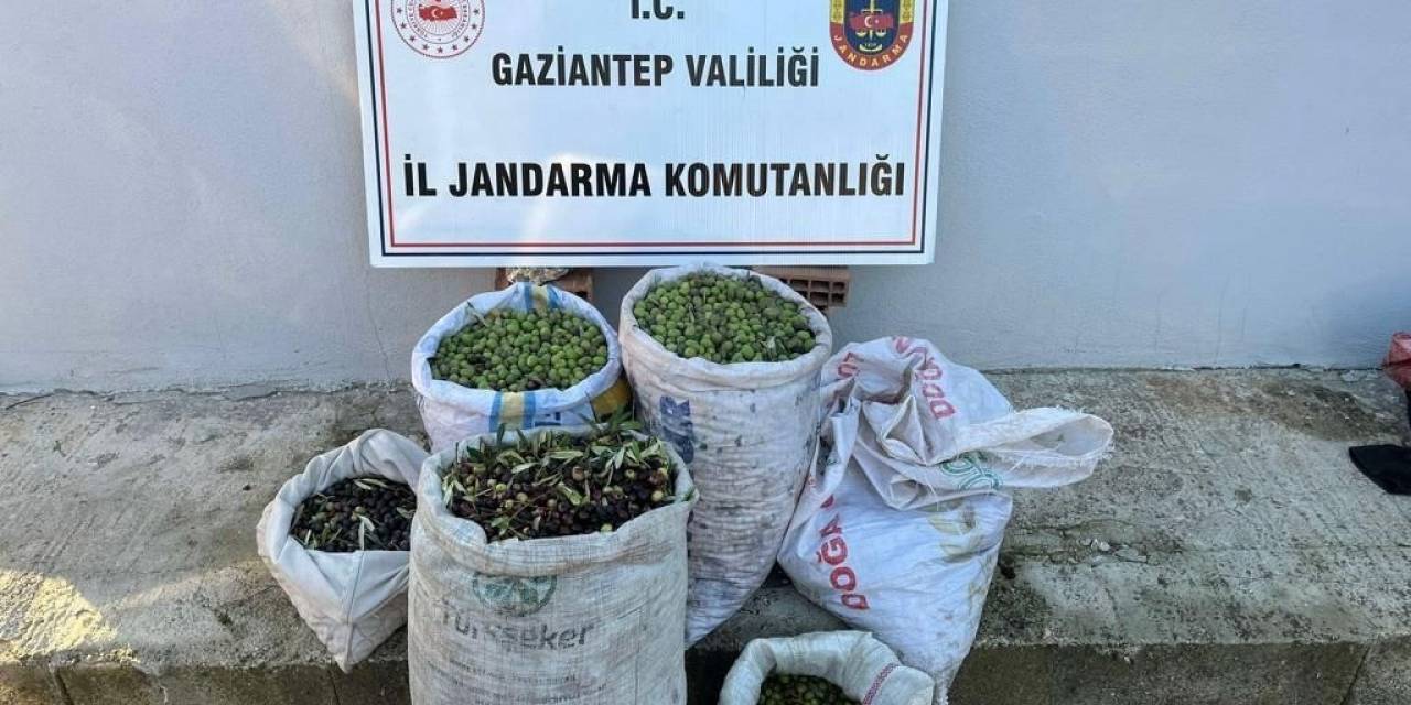 Jandarma Ekipleri Hırsızlara Göz Açtırmıyor