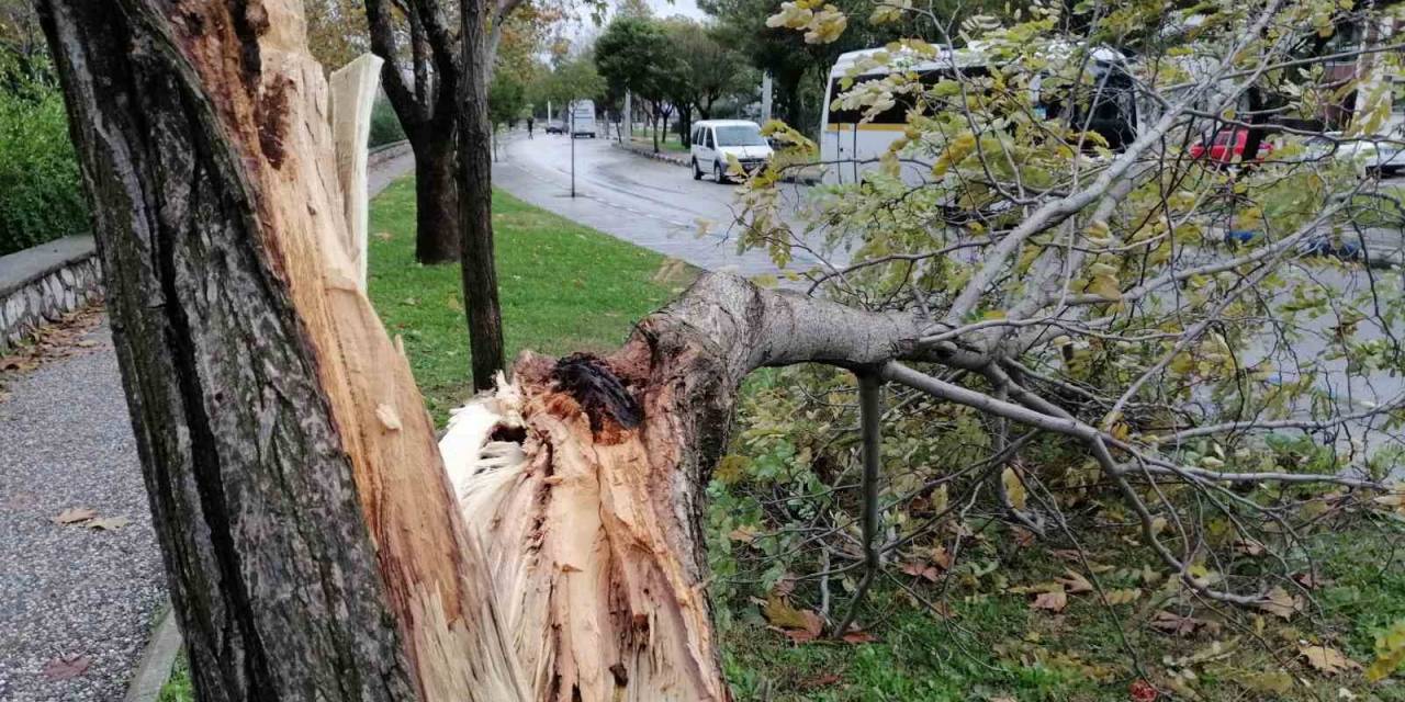 Manisa’da Fırtına Etkili Oluyor