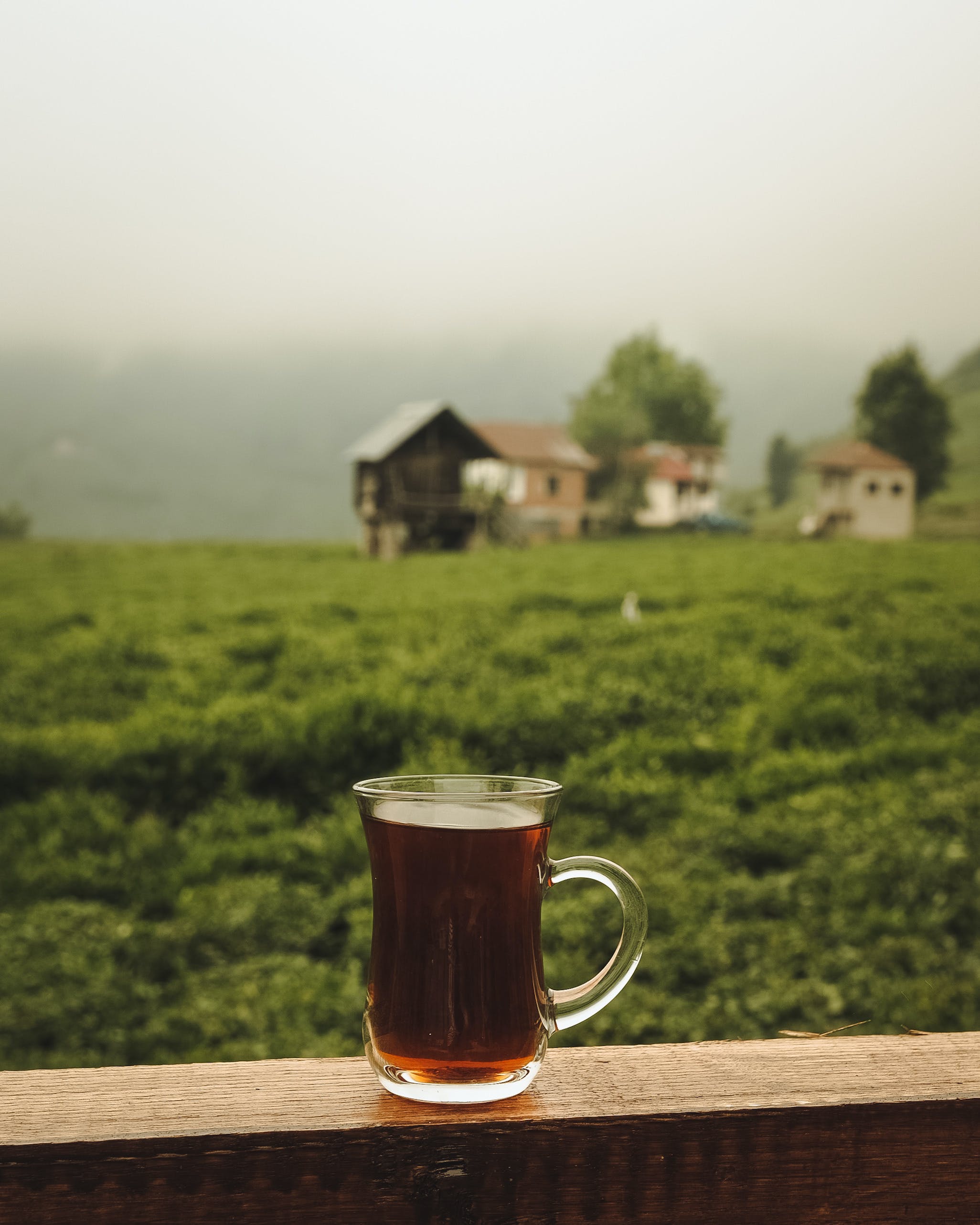 Dünyanın en çok çay içilen ülkesi Türkiye oldu.