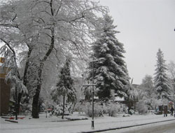 Rize Beyaza Büründü
