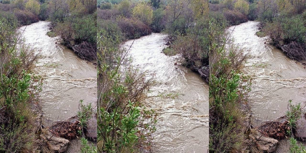 Milas’taki Hamzabey Çayı, Eski Günlerine Geri Döndü