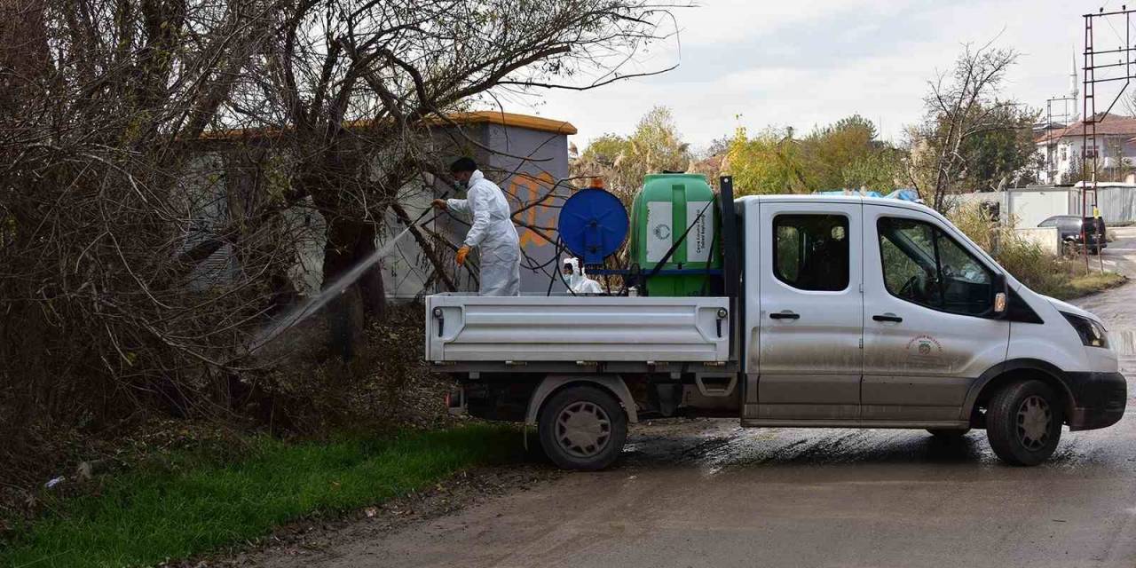 Haşere Üreme Alanlarında Ve Konteyner Kentlerde İlaçlama Yapılıyor