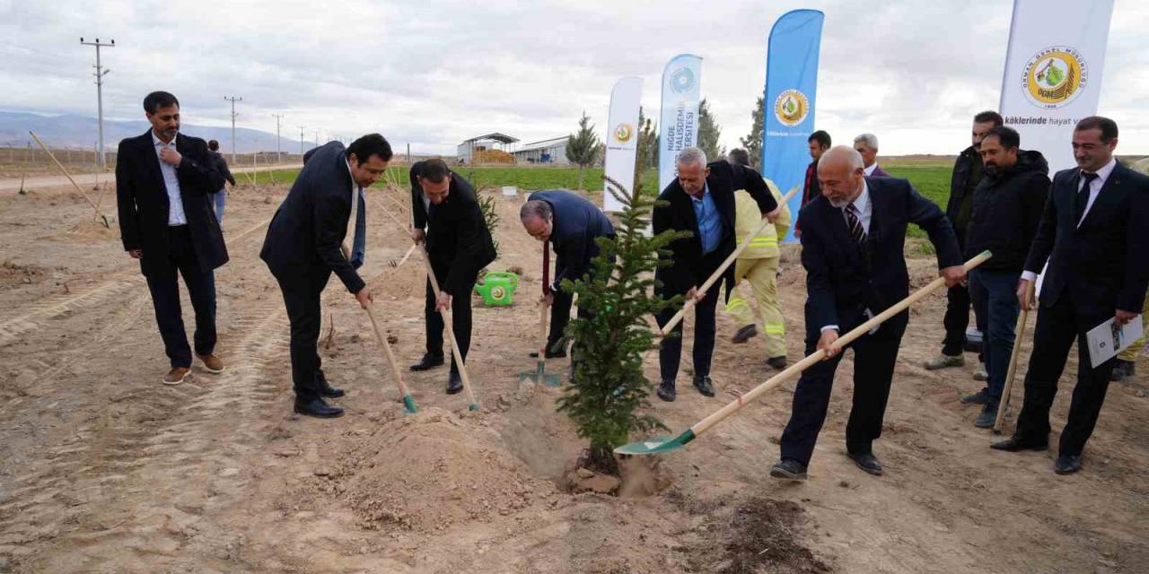 Niğde’de Bal Ormanı Kuruldu