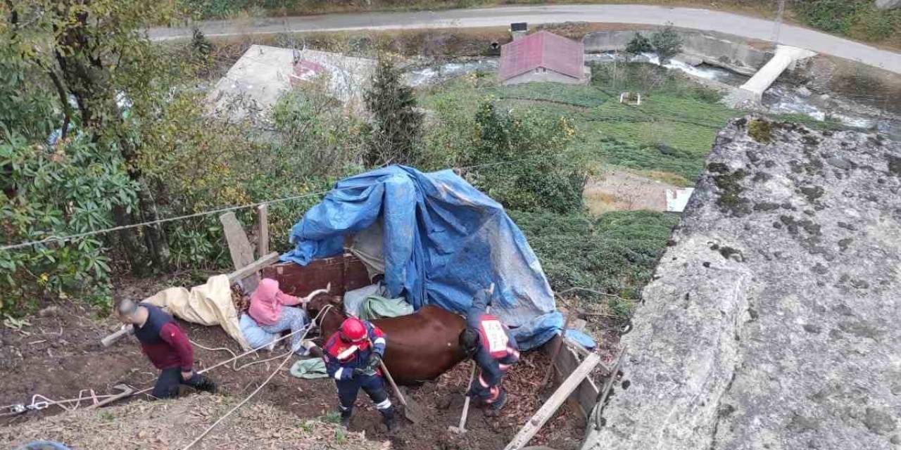 Uçurumdan Aşağı Düşerek Mahsur Kalan İneği İtfaiye Ekipleri Kurtardı