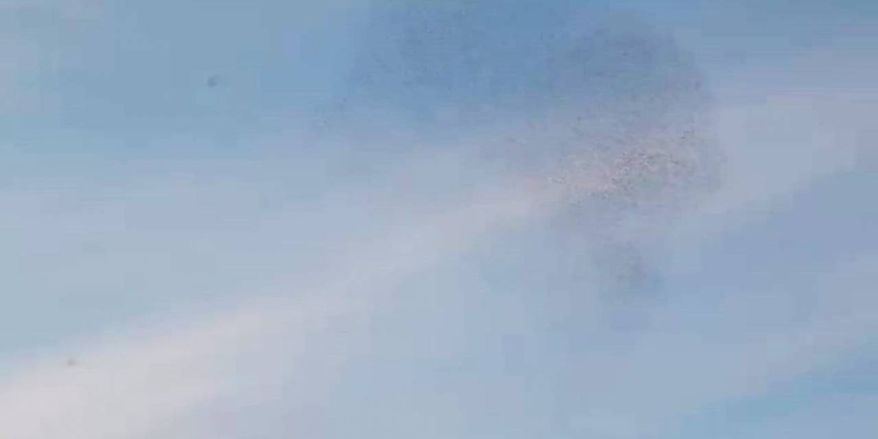 Sığırcıklardan Görsel Şölen