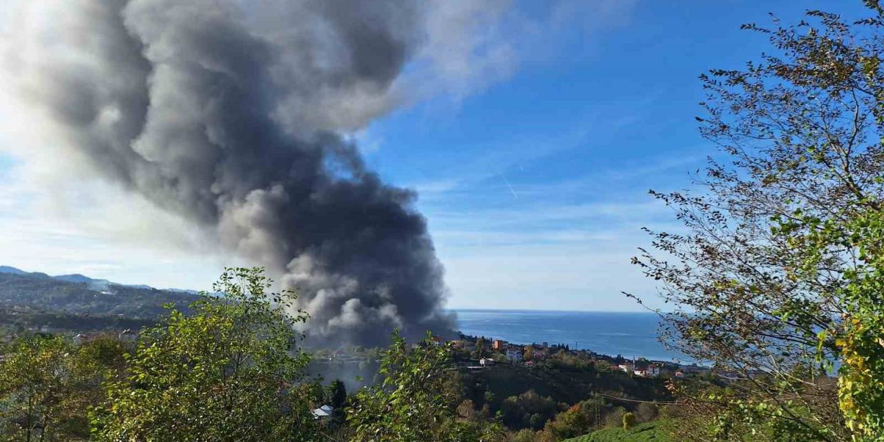 Trabzon’da Balık Fabrikasında Yangın Çıktı, Dumanlar Gökyüzünü Kapladı
