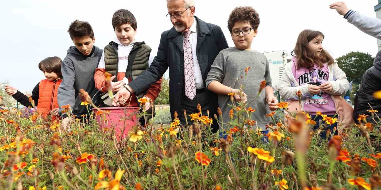 Tarımda Mahalle Seferberliği