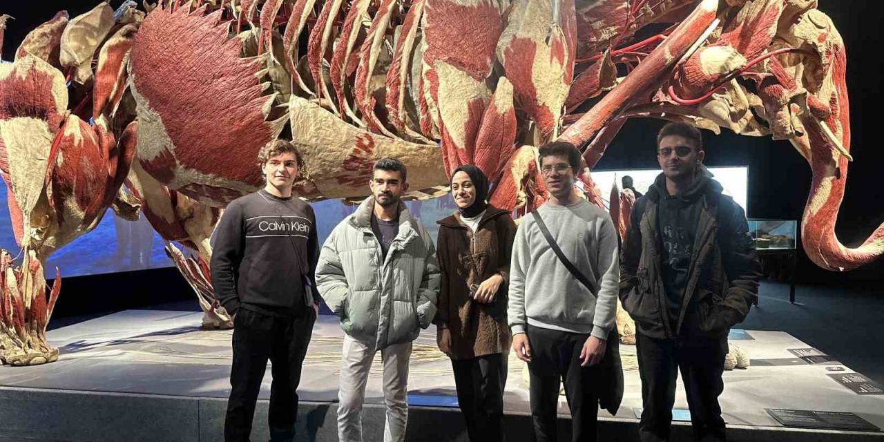 Gerçek Hayvanların Anatomi Sergisinde 3.2 Ton Ağırlığındaki Fil Samba İstanbulluların İlgi Odağı Oldu