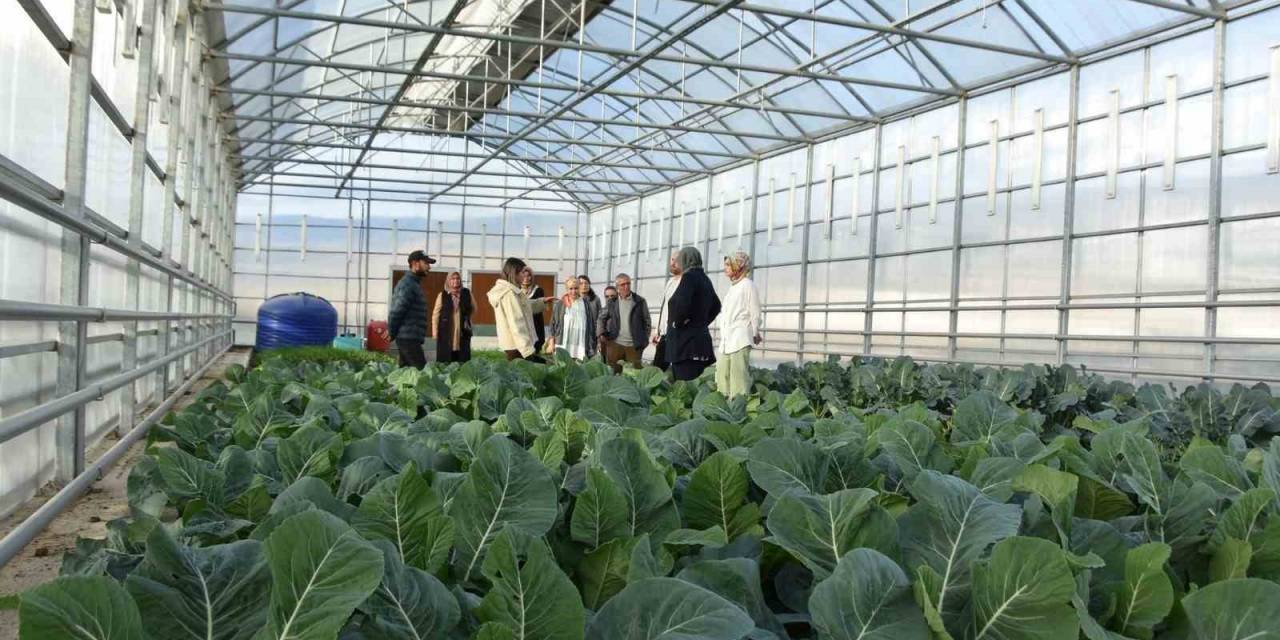 Niksar’da Bilinçli Üretim İçin Çalışıyorlar