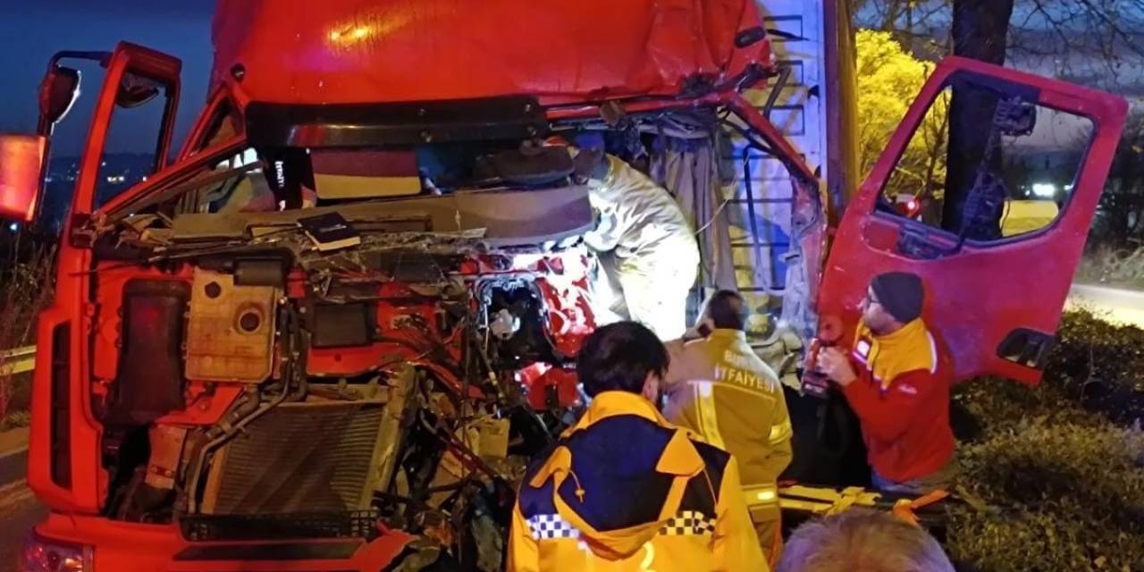 Kontrolden Çıkan Tır Ağaca Çarptı, Sürücü Ağır Yaralandı