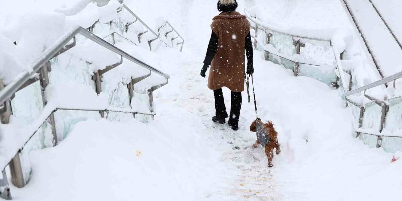 Almanya’nn Güneyinde Yoğun Kar Yağışı
