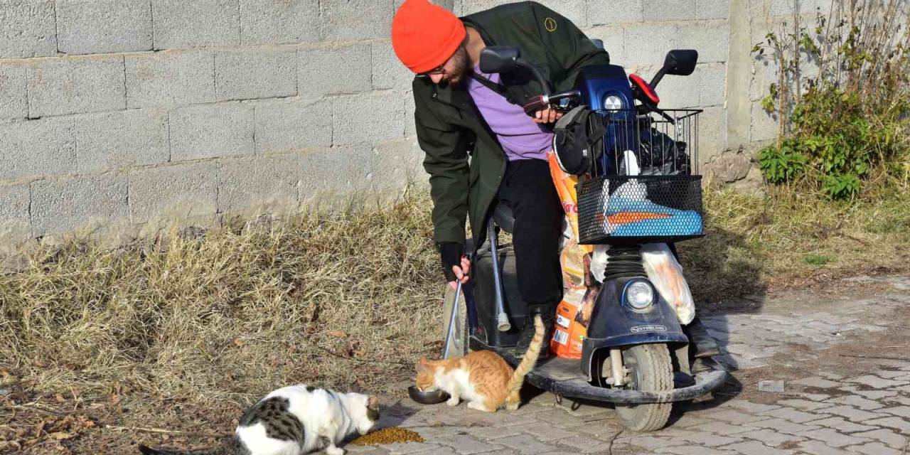 Engelli Genç 10 Yıldır Sokak Hayvanlarını Besliyor
