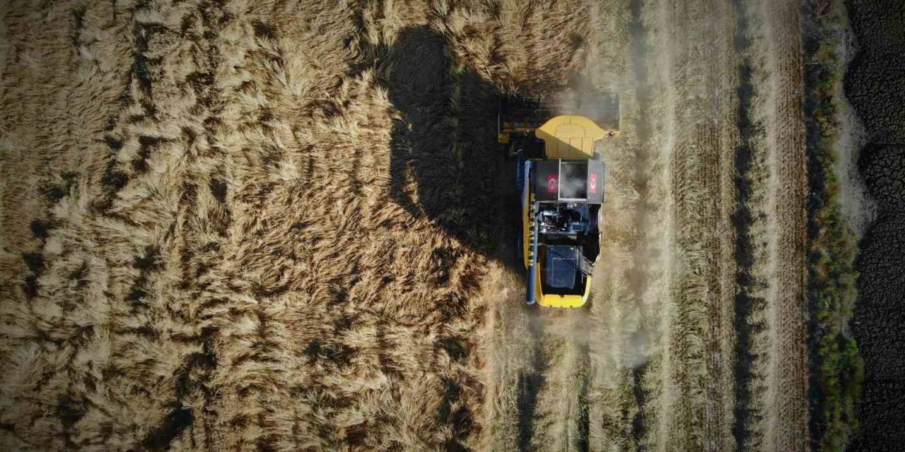 Tarım Başkenti Konya, 13 Üründe Üretim Miktarı Olarak Türkiye’de İlk Sırada