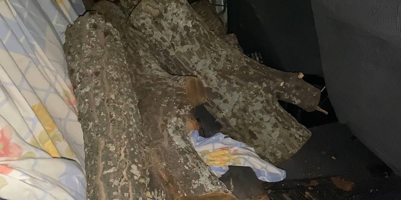 Odun Hırsızı Suçüstü Yakalandı