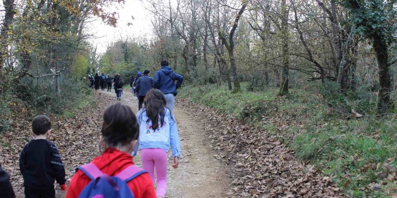 Bu Sefer Kent Ormanında Yürüdüler