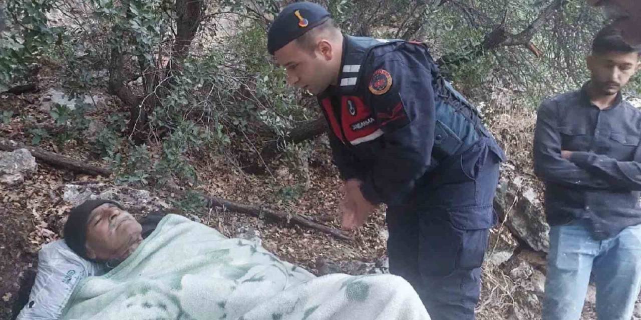 Kaybolan Alzaymır Hastasını Jandarma Kurtardı