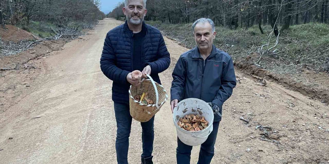 Yoğun Yağış Mantarsevenleri Ormana Döktü