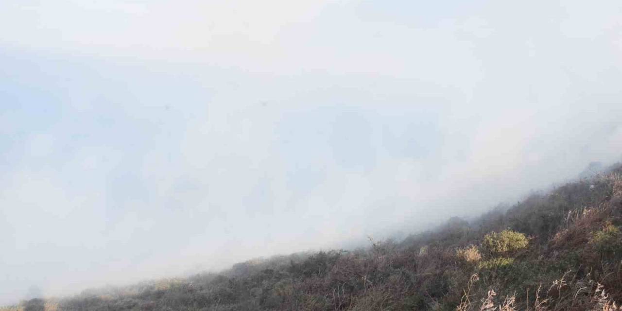 Sinop’ta Ot Yangını