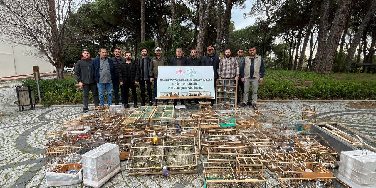 Yasa Dışı Yakalanarak Ticareti Yapılan 902 Kuş Doğaya Bırakıldı