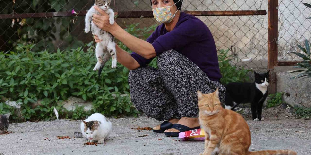 Kanser Hastası Kadın Hayata Hayvanlarla Tutunuyor