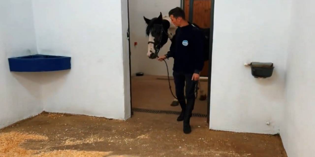 Büyükşehir Spor Aş "At Pansiyonu" Hizmeti Başlattı