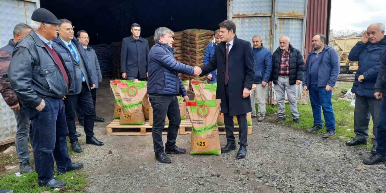 Çiftçilere Yüzde Elli Hibe Destekli 26 Ton Buğday Tohumu Dağıtıldı