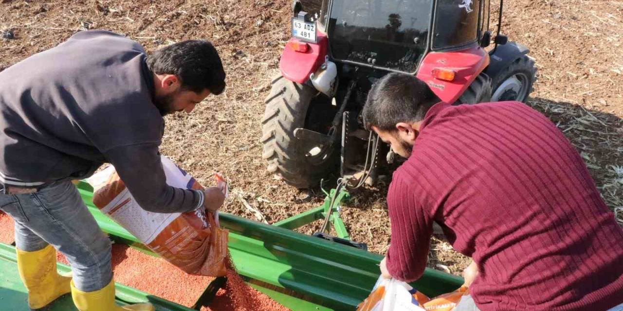 Şanlıurfa Büyükşehir Belediyesi Buğday Ekimine Başladı