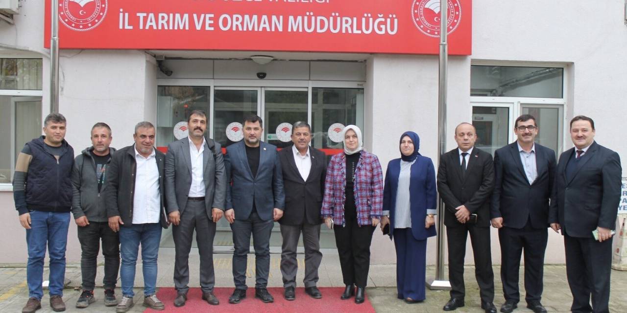 Fındık Tarımında Yeni Uygulamalar Değerlendirildi