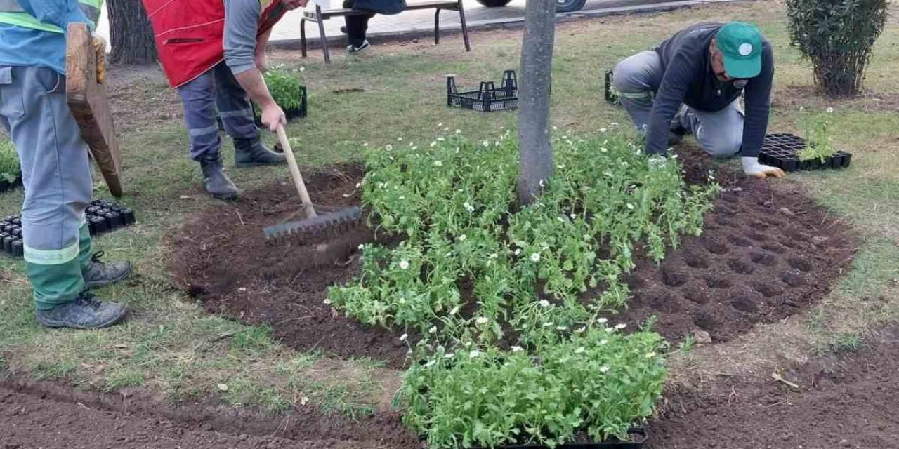 İlkadım’a 100 Bin Mevsimlik Çiçek