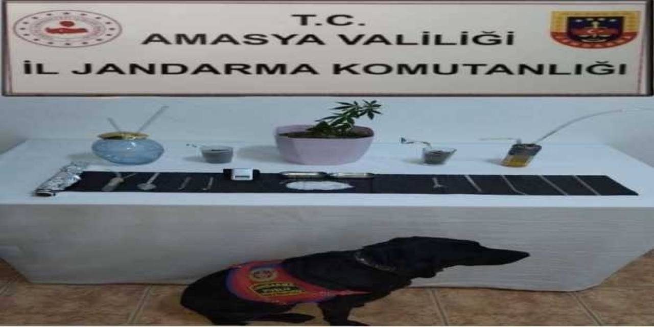 Suluova’da Uyuşturucu Operasyonu: 1 Gözaltı