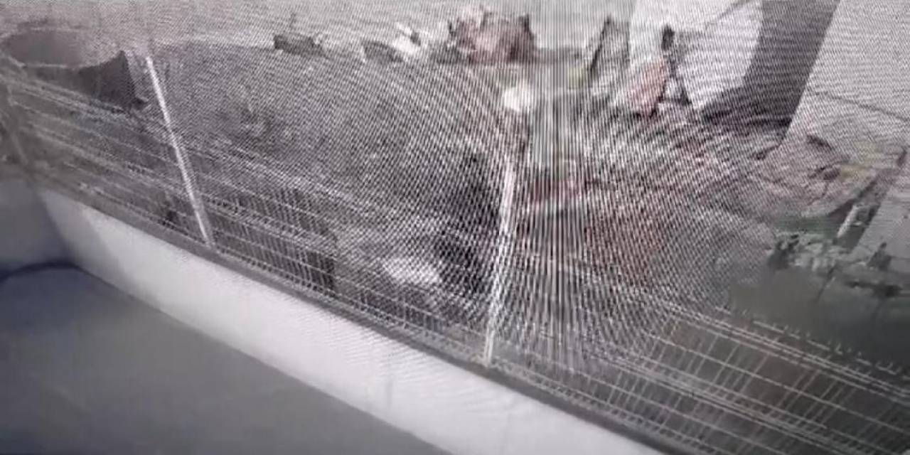 İstanbul’da Köpeğe Şiddet Uygulayan Şahsa 4 Bin 554 Tl Para Cezası