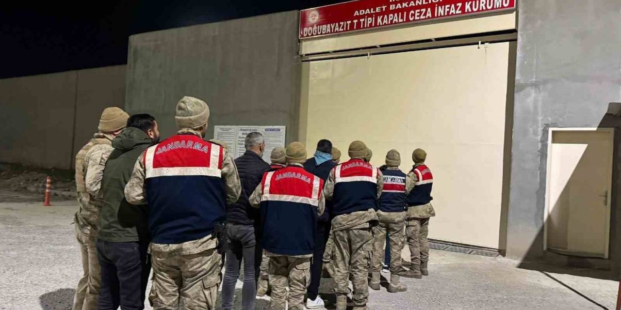 Ağrı’da 63 Milyon Değerinde Beyaz Altın Çalındı