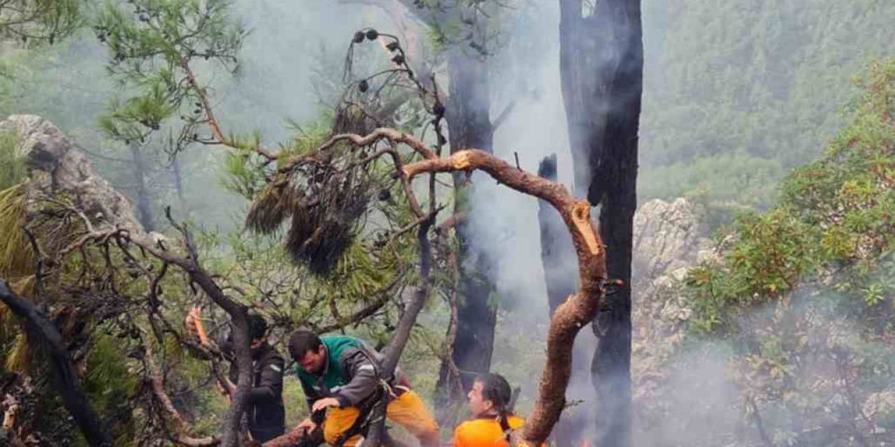 Muğla’da Kış Ortasında Orman Yangını