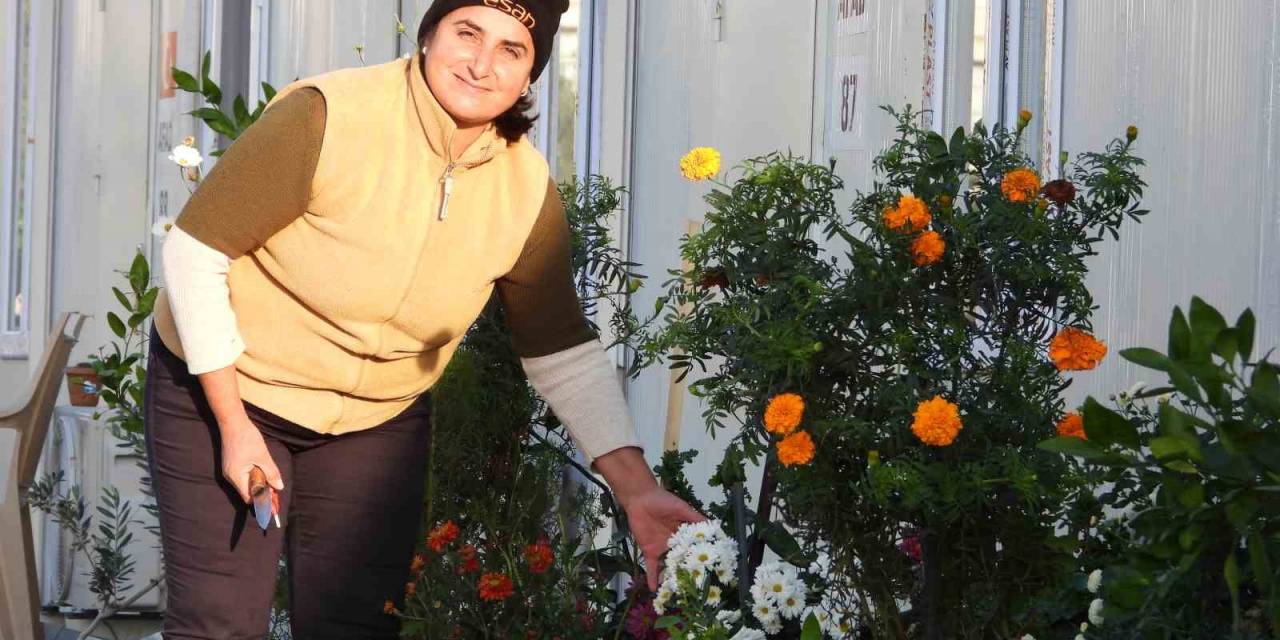 Kadın Eli Değen Konteyner Kent Sokakları Yeşile Büründü